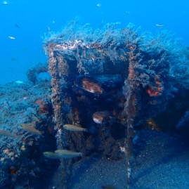 和平海底長期溫度_2019.JPG